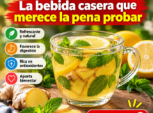 Infusión de jengibre, limón y menta en taza de vidrio con ingredientes frescos